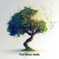 pixelbloomstudio.co.uk